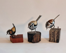 Little birds
